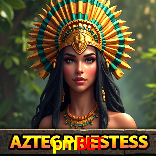 Security Systems pmbet