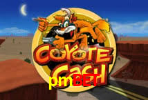 Crash Games Statistics pmbet