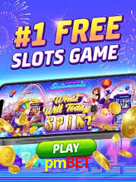 Tennis Betting pmbet