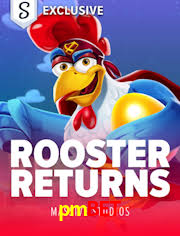 Roulette Table pmbet